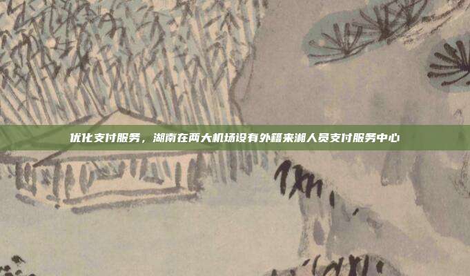 优化支付服务,湖南在两大机场设有外籍来湘人员支付服务中心