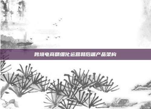 跨境电商精细化运营和后端产品架构