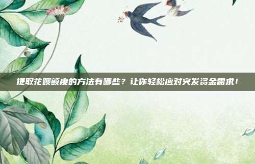 提取花呗额度的方法有哪些?让你轻松应对突发资金需求!