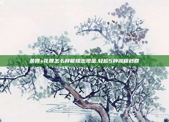 舍得+花呗怎么样能提出现金,轻松5种流程秒回