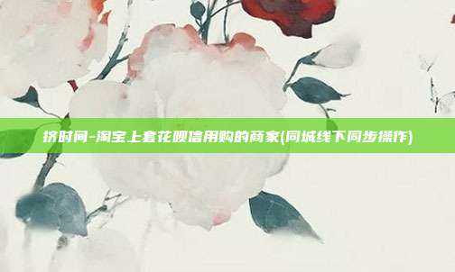 挤时间-淘宝上套花呗信用购的商家(同城线下同步操作)