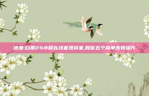 速度:白条24小时在线套现商家,教你五个简单步骤操作