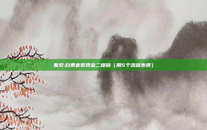 看见:白条套取现金二维码(用5个流程步骤)