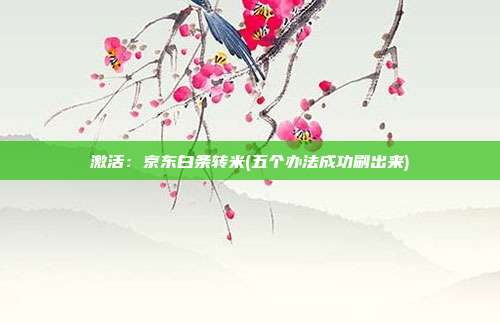 激活:京东白条转米(五个办法成功刷出来)