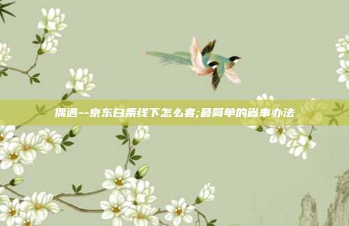 偶遇--京东白条线下怎么套;最简单的省事办法