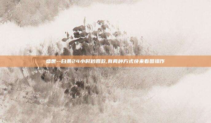 盛世--白条24小时秒回款,有两种方式快来看图操作