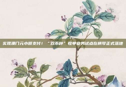 实现澳门元小额支付!“双币种”收单业务试点在横琴正式落地