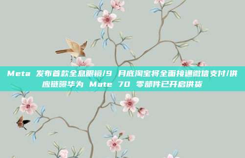 Meta 发布首款全息眼镜/9 月底淘宝将全面接通微信支付/供应链曝华为 Mate 70 零部件已开启供货