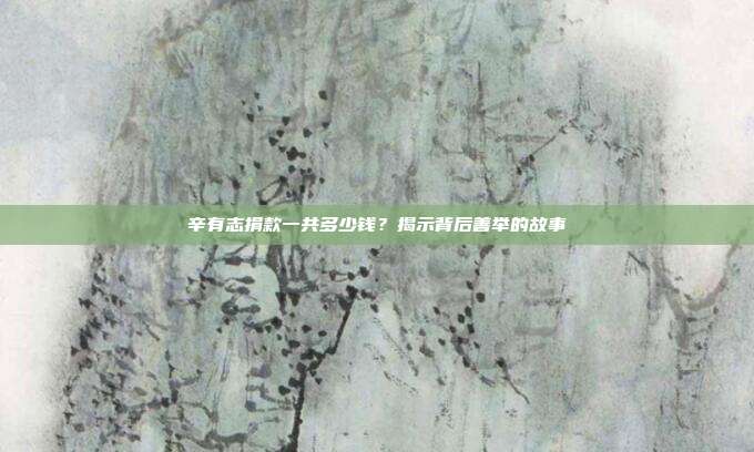 辛有志捐款一共多少钱?揭示背后善举的故事