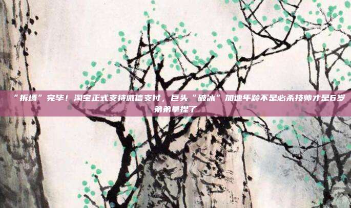 “拆墙”完毕!淘宝正式支持微信支付,巨头“破冰”加速年龄不是必杀技帅才是6岁弟弟拿捏了