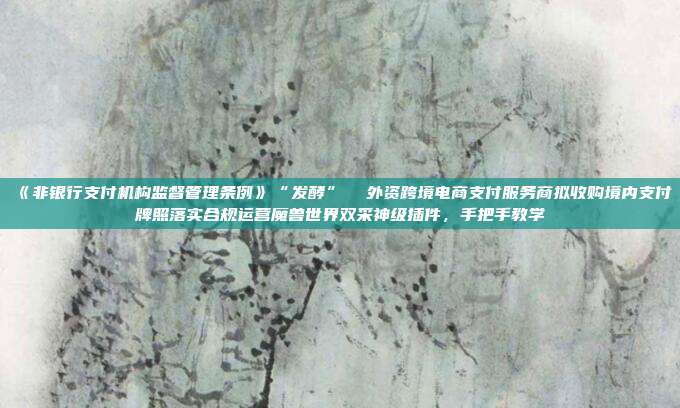《非银行支付机构监督管理条例》“发酵” 外资跨境电商支付服务商拟收购境内支付牌照落实合规运营魔兽世界双采神级插件,手把手教学