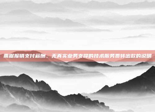 票据报销支付薪酬、无真实业务支撑的技术服务费转出款的说明