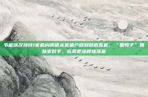 节能铁汉接待1家机构调研从家喻户晓到彻底乱套,“黑鸭子”姐妹变对手,成员更迭辉煌落幕