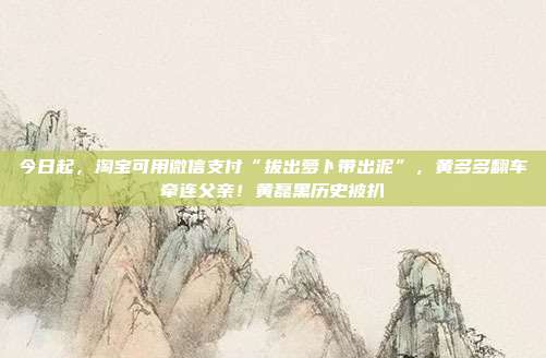 今日起,淘宝可用微信支付“拔出萝卜带出泥”,黄多多翻车牵连父亲!黄磊黑历史被扒