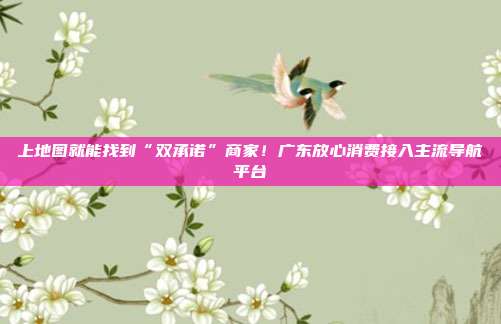 上地图就能找到“双承诺”商家!广东放心消费接入主流导航平台