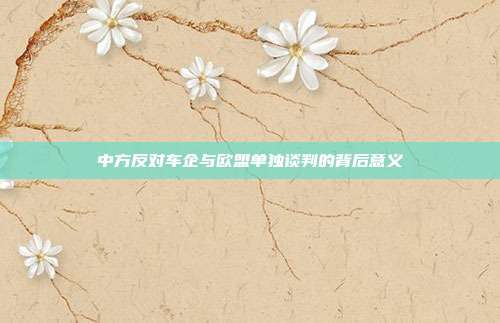 中方反对车企与欧盟单独谈判的背后意义