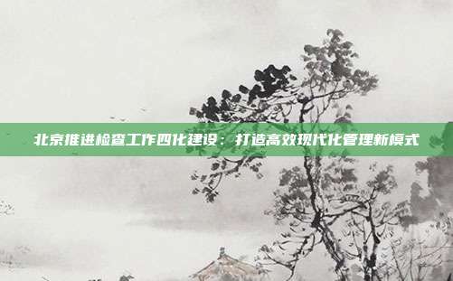 北京推进检查工作四化建设:打造高效现代化管理新模式