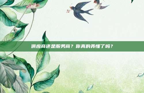 供应商还是服务商?你真的弄懂了吗?