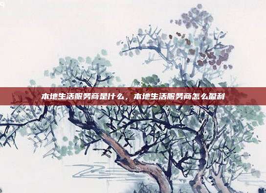 本地生活服务商是什么,本地生活服务商怎么盈利
