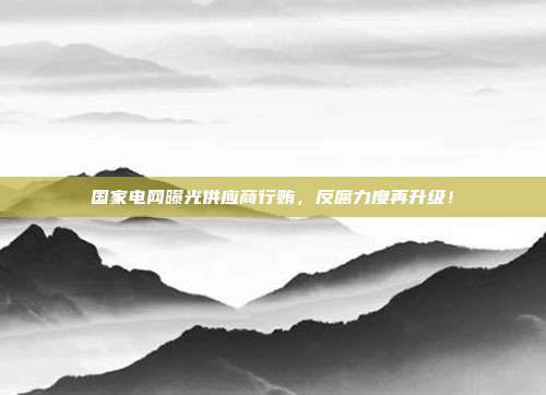 国家电网曝光供应商行贿,反腐力度再升级!