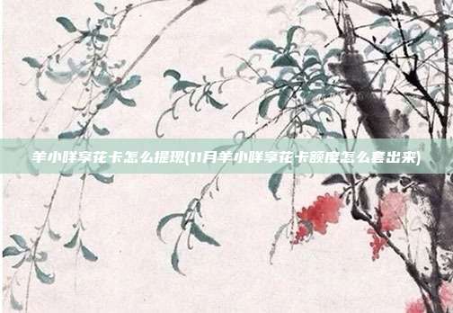 羊小咩享花卡怎么提现(11月羊小咩享花卡额度怎么套出来)