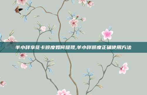 羊小咩享花卡额度如何提现,羊小咩额度正确使用方法