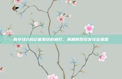 新华社2名记者采访时被打,真相背后引发社会深思
