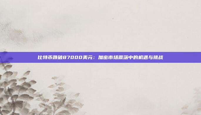 比特币跌破87000美元:加密市场震荡中的机遇与挑战