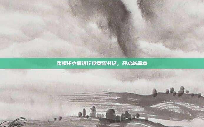 张辉任中国银行党委副书记,开启新篇章