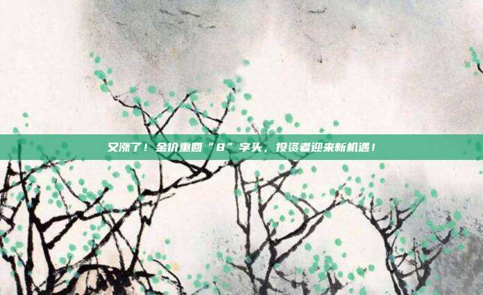 又涨了!金价重回“8”字头,投资者迎来新机遇!