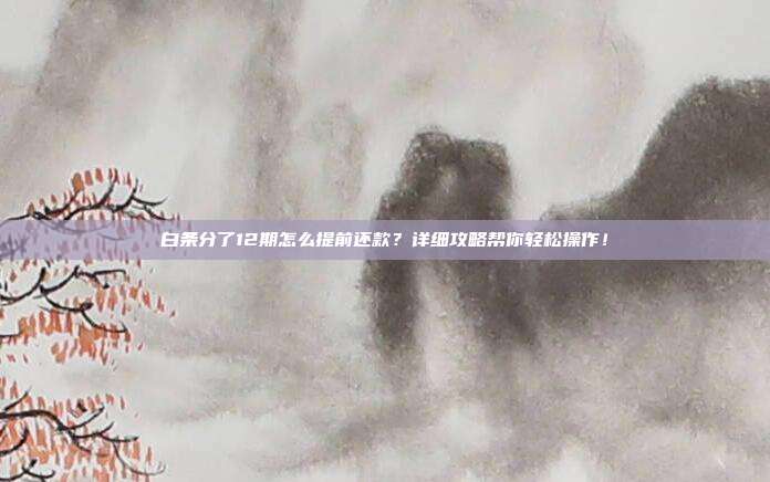 白条分了12期怎么提前还款?详细攻略帮你轻松操作!