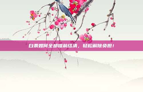 白条如何全部提前结清,轻松解除负担!