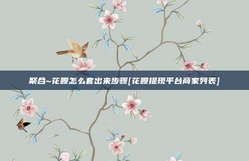 聚合~花呗怎么套出来步骤[花呗提现平台商家列表]