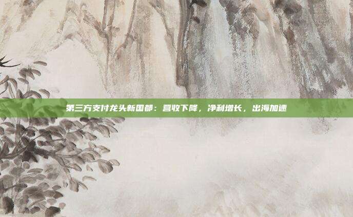 第三方支付龙头新国都:营收下降,净利增长,出海加速