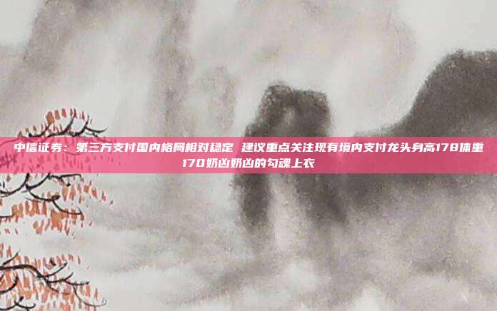 中信证券:第三方支付国内格局相对稳定 建议重点关注现有境内支付龙头身高178体重170奶凶奶凶的勾魂上衣