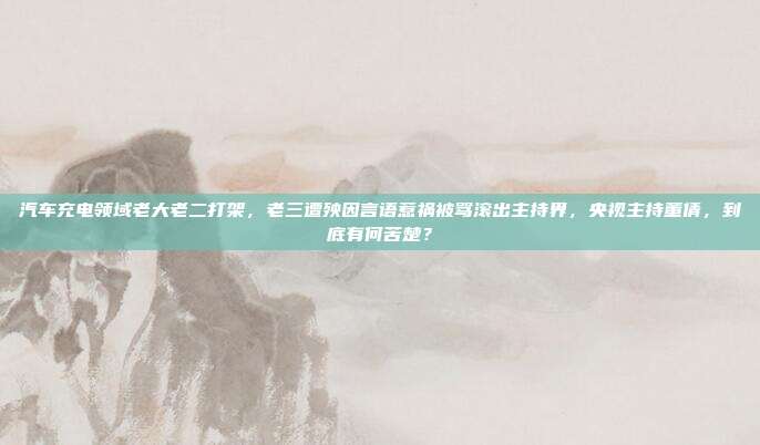 汽车充电领域老大老二打架,老三遭殃因言语惹祸被骂滚出主持界,央视主持董倩,到底有何苦楚?