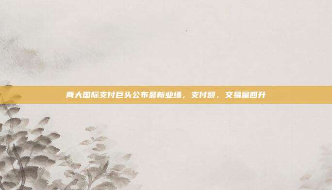 两大国际支付巨头公布最新业绩,支付额、交易量回升