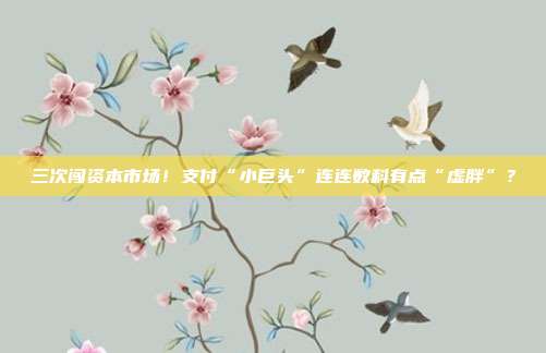 三次闯资本市场!支付“小巨头”连连数科有点“虚胖”?