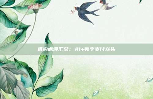 机构点评汇总:AI+数字支付龙头