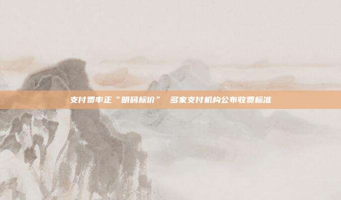 支付费率正“明码标价” 多家支付机构公布收费标准