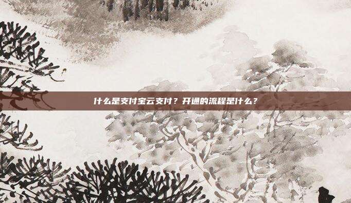 什么是支付宝云支付?开通的流程是什么?