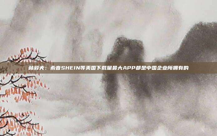 林毅夫:希音SHEIN等美国下载量最大APP都是中国企业所拥有的
