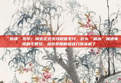 “拆墙”完毕!淘宝正式支持微信支付,巨头“破冰”加速电视剧千香引,感觉早期的图这几张杀疯了 