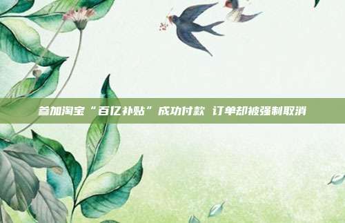 参加淘宝“百亿补贴”成功付款 订单却被强制取消