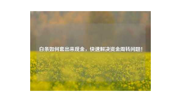 白条怎么套出现金方法揭秘!轻松实现资金周转的妙招